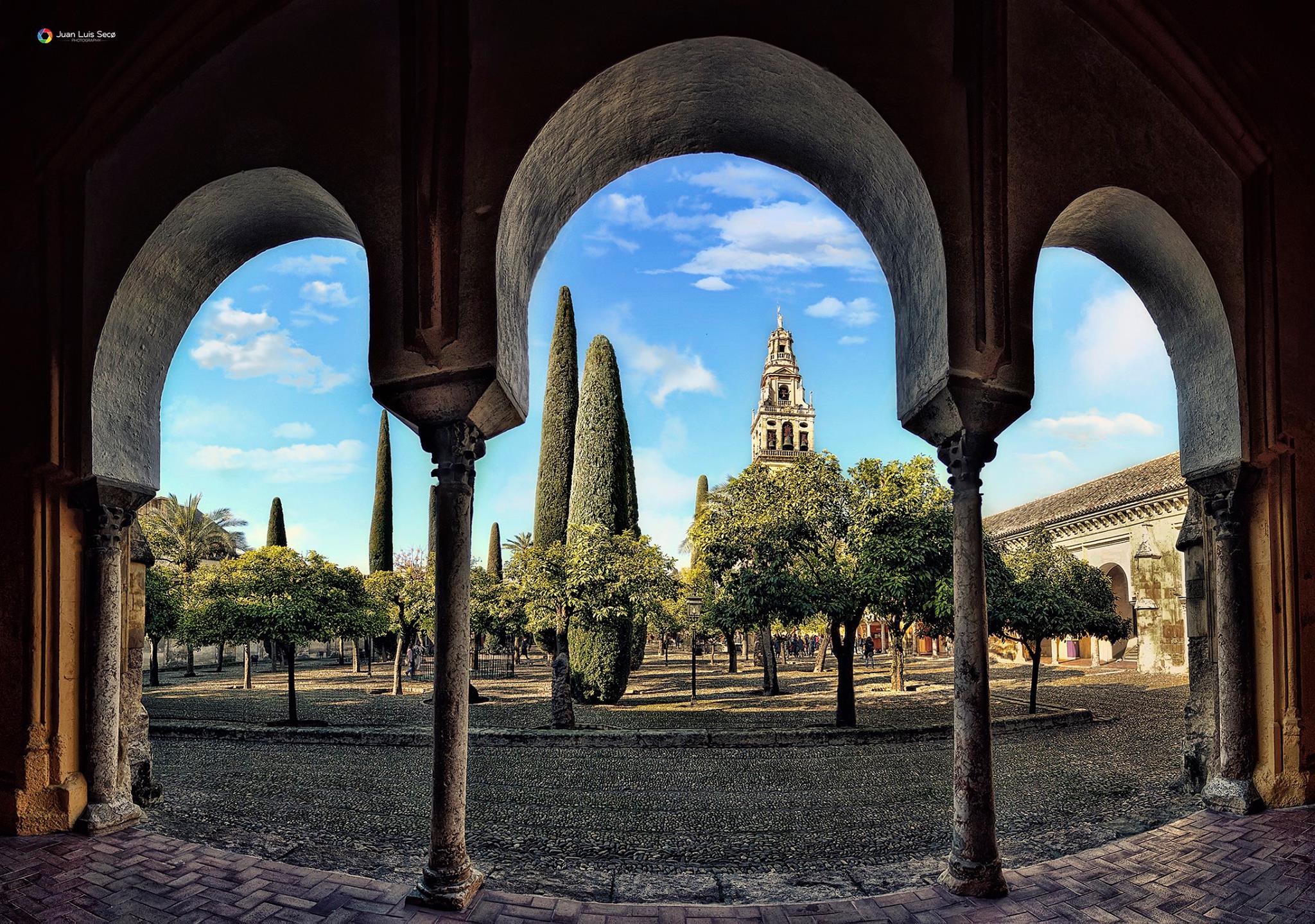 Patio de los Naranjos